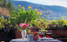 Schwarzwald-Ferienwohnungen Begert